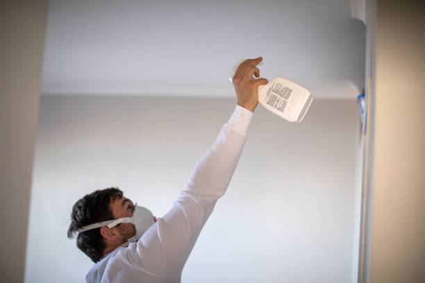 Best Attic Mold Removal  in Virginia, IL