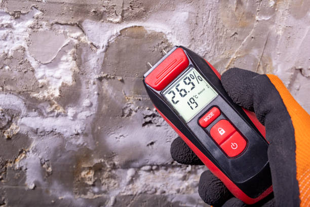 Best Mold Remediation  in Virginia, IL