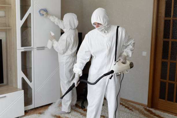 Reliable Virginia, IL Mold Removal Solutions